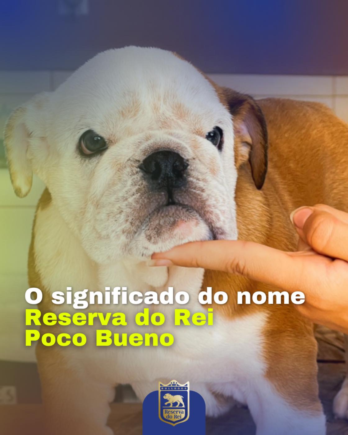 O significado do nome Reserva do Rei Poco Bueno