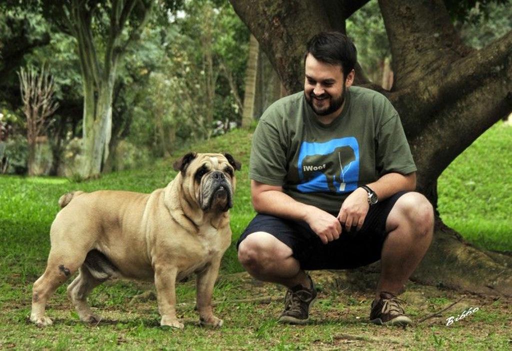 Argos, o nosso primeiro Bulldog