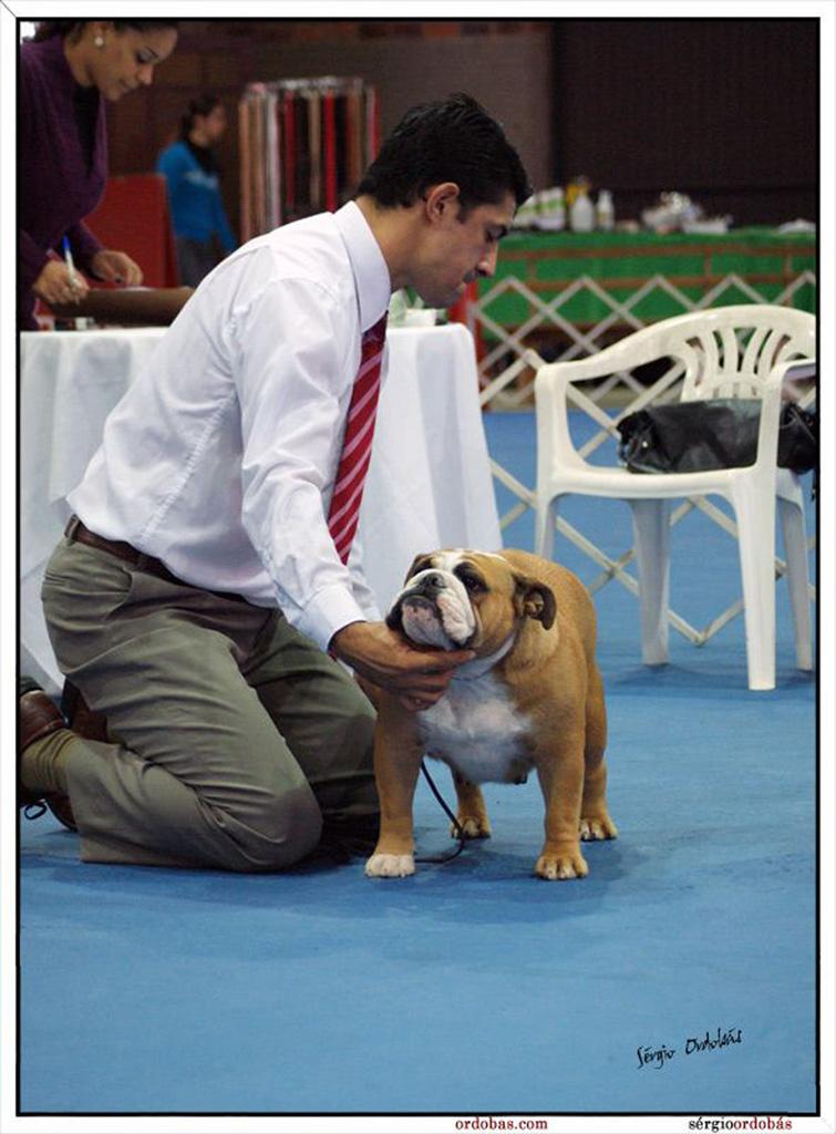 Joy e o Handler Juliano Pinto