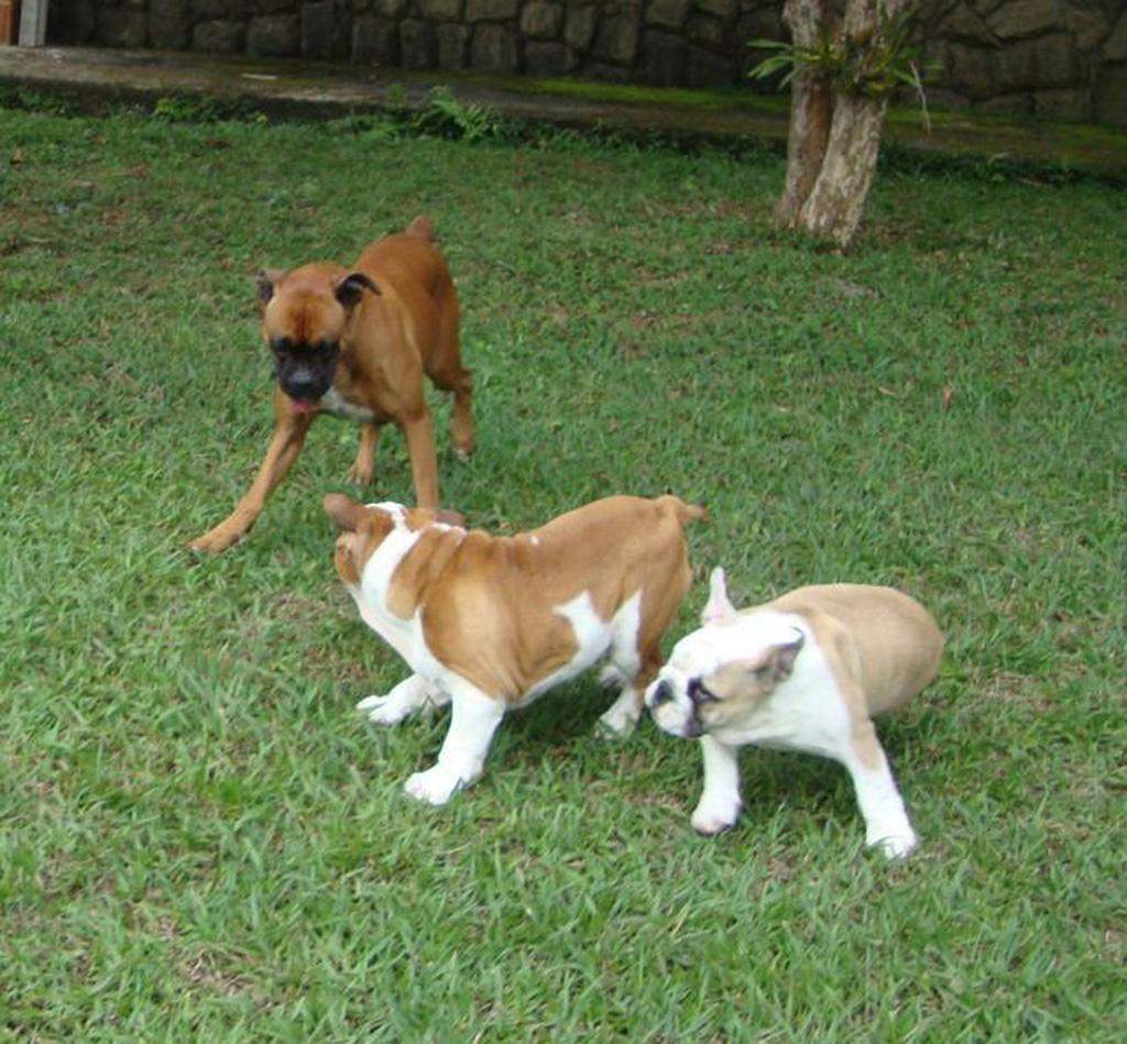 Stella e Jhonny, uma farra...