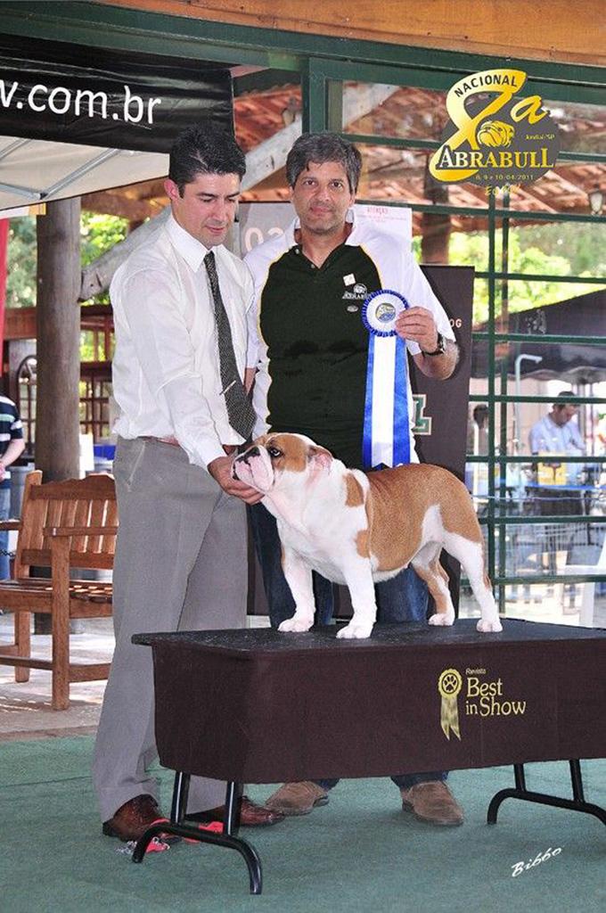 Meljane Bulldogs Sweet
