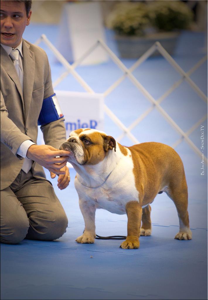 Gongarbulls Pompidou