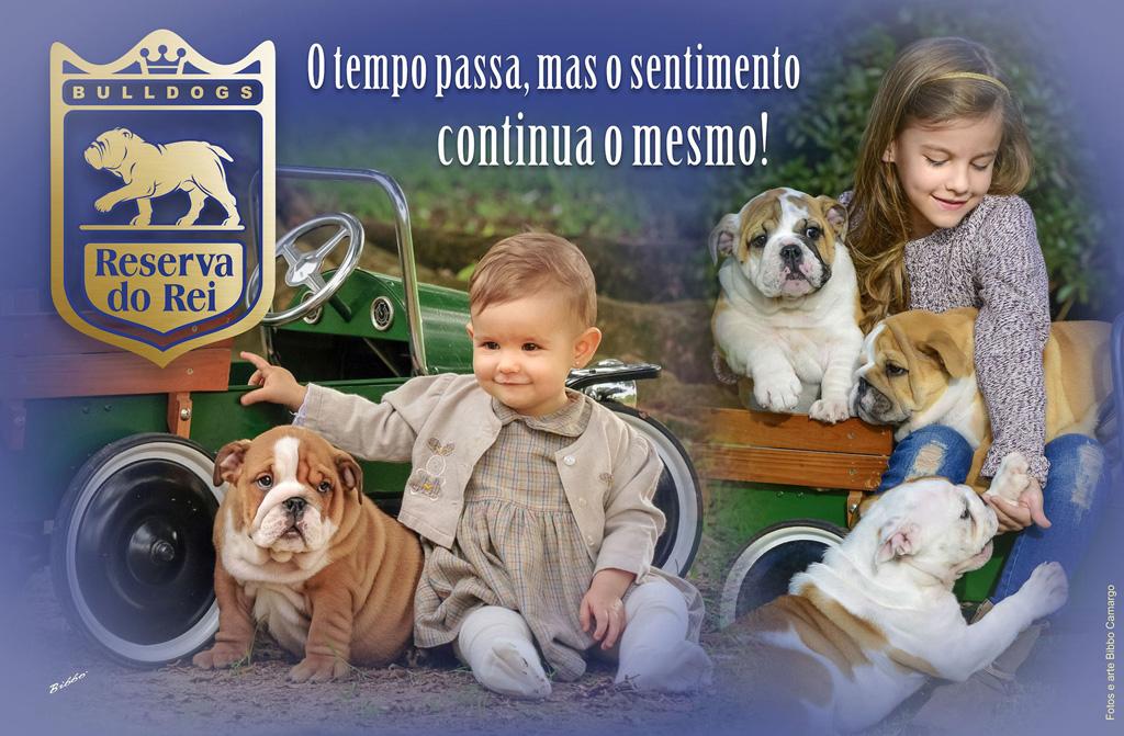 Sentimento
