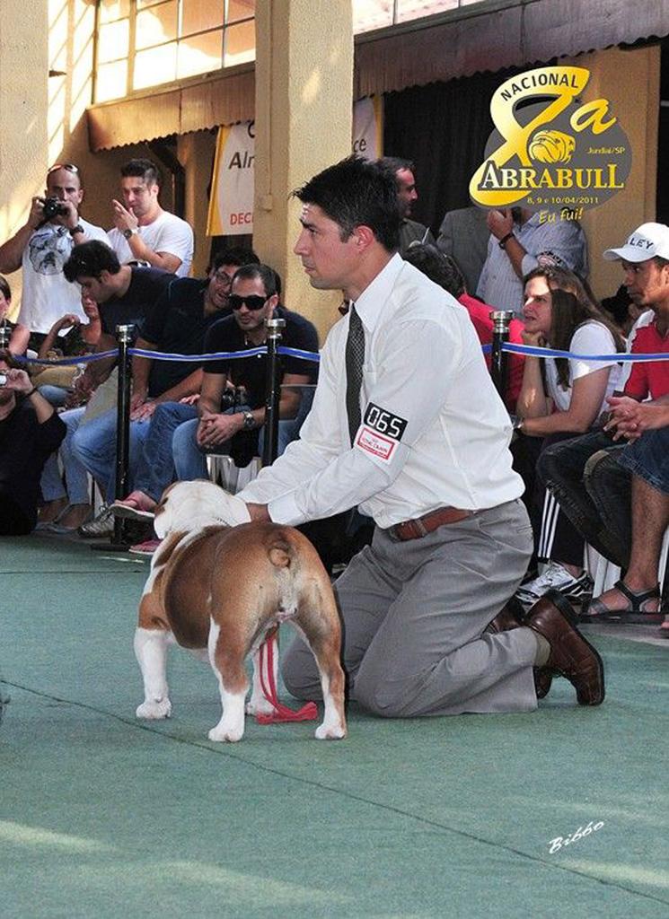 Meljane Bulldogs Sweet