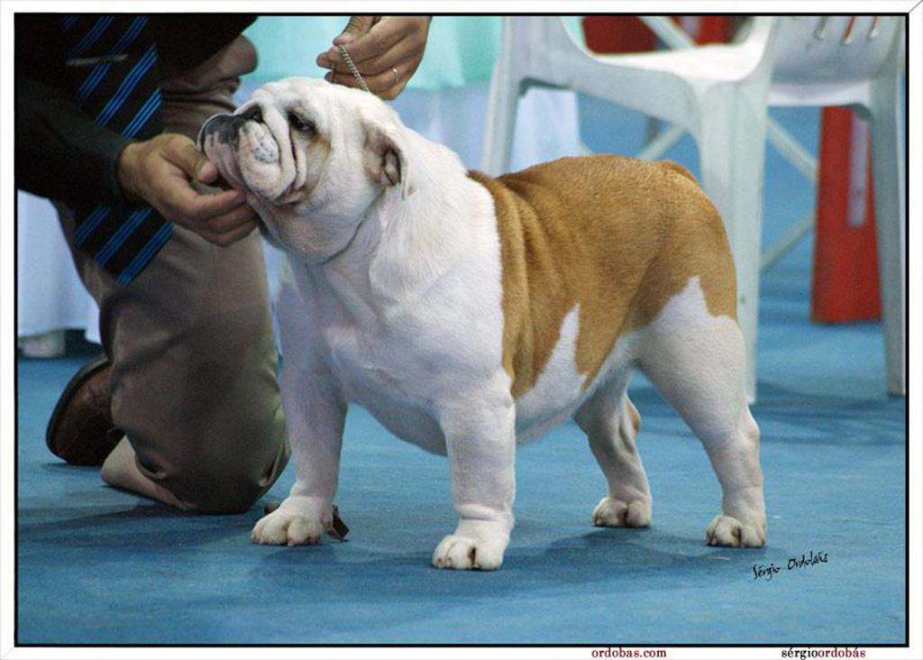 Nancy - 2 x Melhor Fêmea