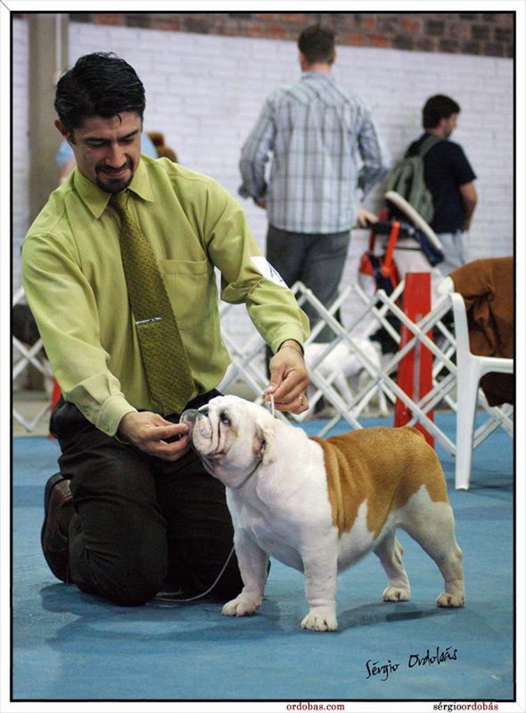 O Handler Juliano e Nancy
