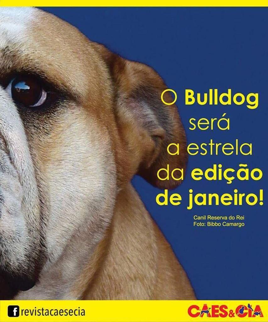 Reserva Do Rei Na Capa Da Cães e Cia!