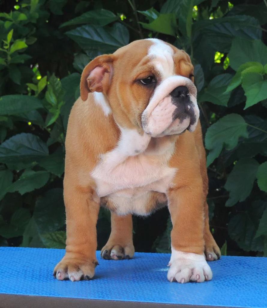 Reserva do Rei Southpaw