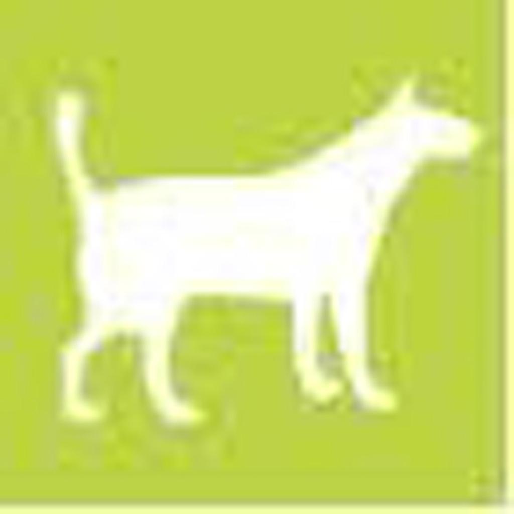 Blog Canina