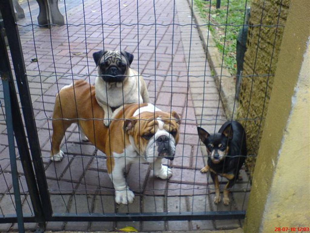 Milton e seus irmãos esperando a hora do passeio...