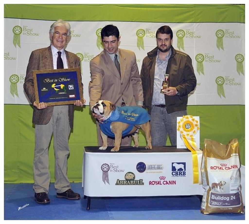 1º de BIS - 1ª Copa Abrabull de Criação Nacional (Renato Roc