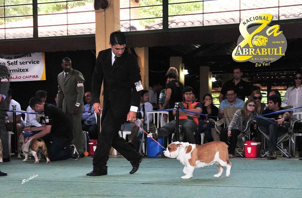 Meljane Bulldogs Sweet