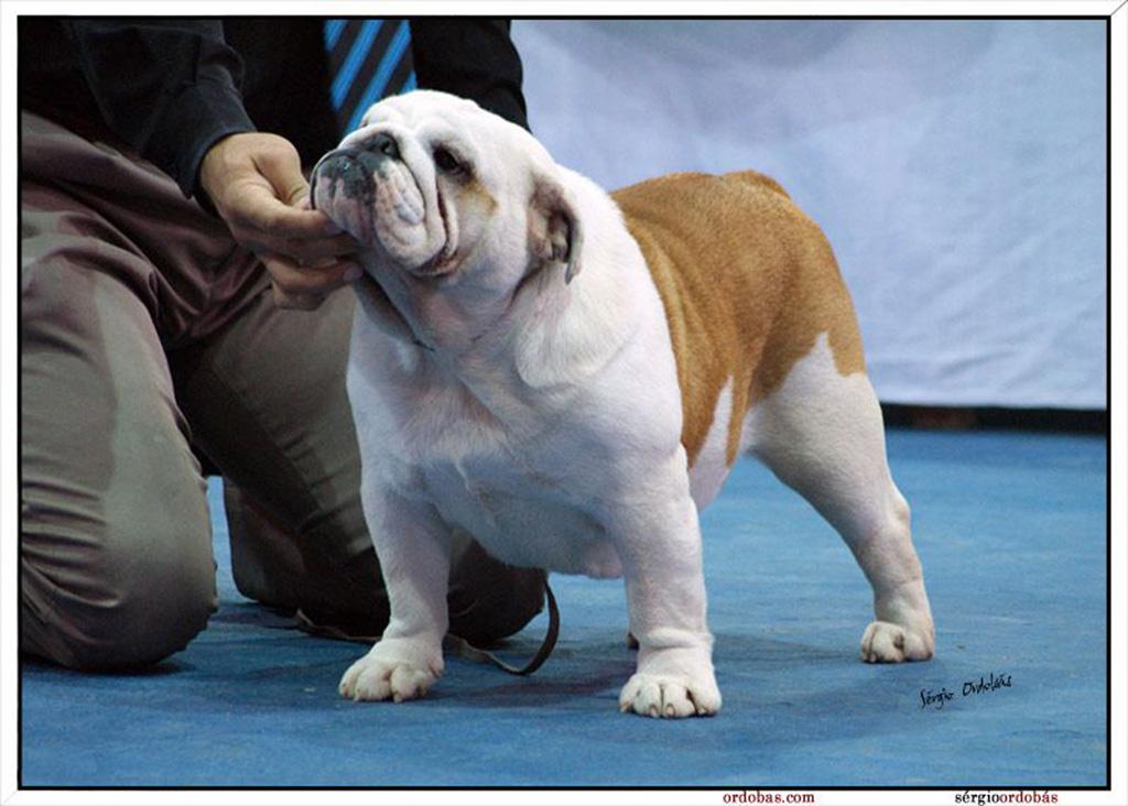 Nancy - 2 x Melhor Fêmea