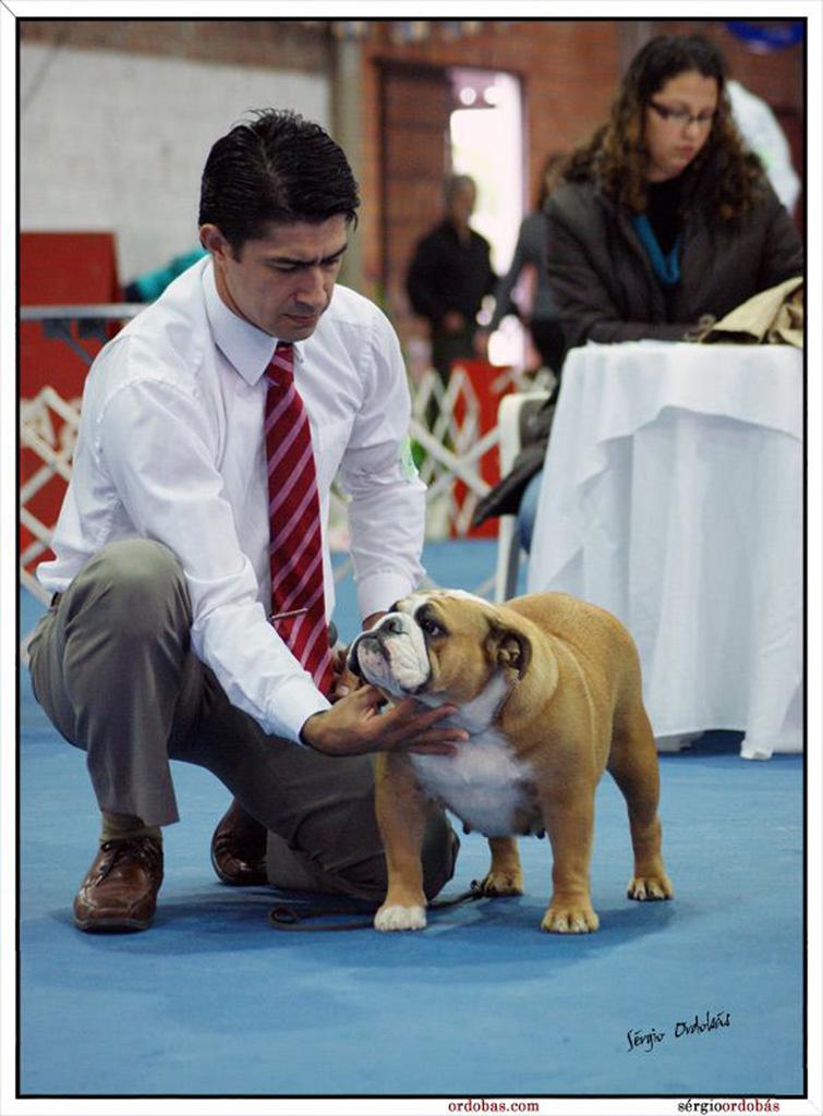 Joy e o Handler Juliano Pinto