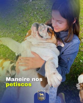 Maneire nos petiscos