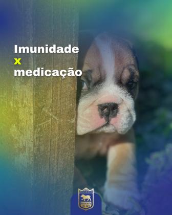 Imunidade x medicação