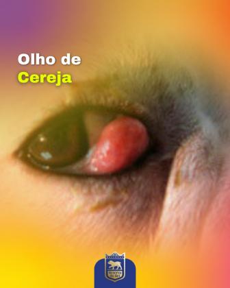 Olho de cereja