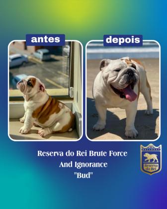 Antes x Depois