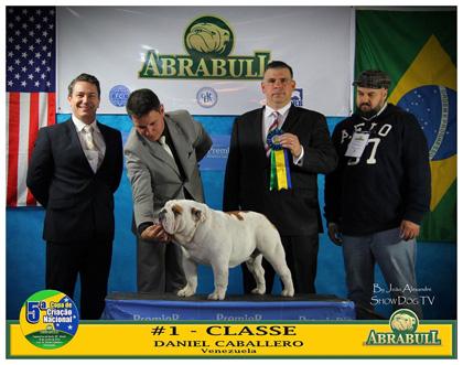 12ª Nacional Abrabull BISS e BOSS nas Copas Paulistas!