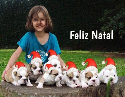 Feliz Natal!!!