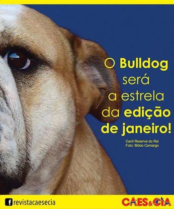 Bulldog: Edição Especial da Cães e Cia!