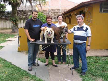 Depoimento de Alejandro Cassaglia - Canil Hooligans Bull